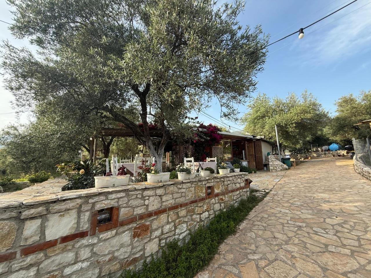 הימארה Hotel Stolis מראה חיצוני תמונה